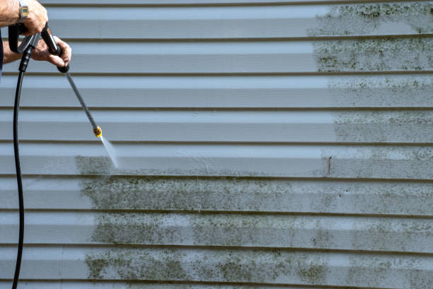 Best Shed Removal  in Loudon, TN